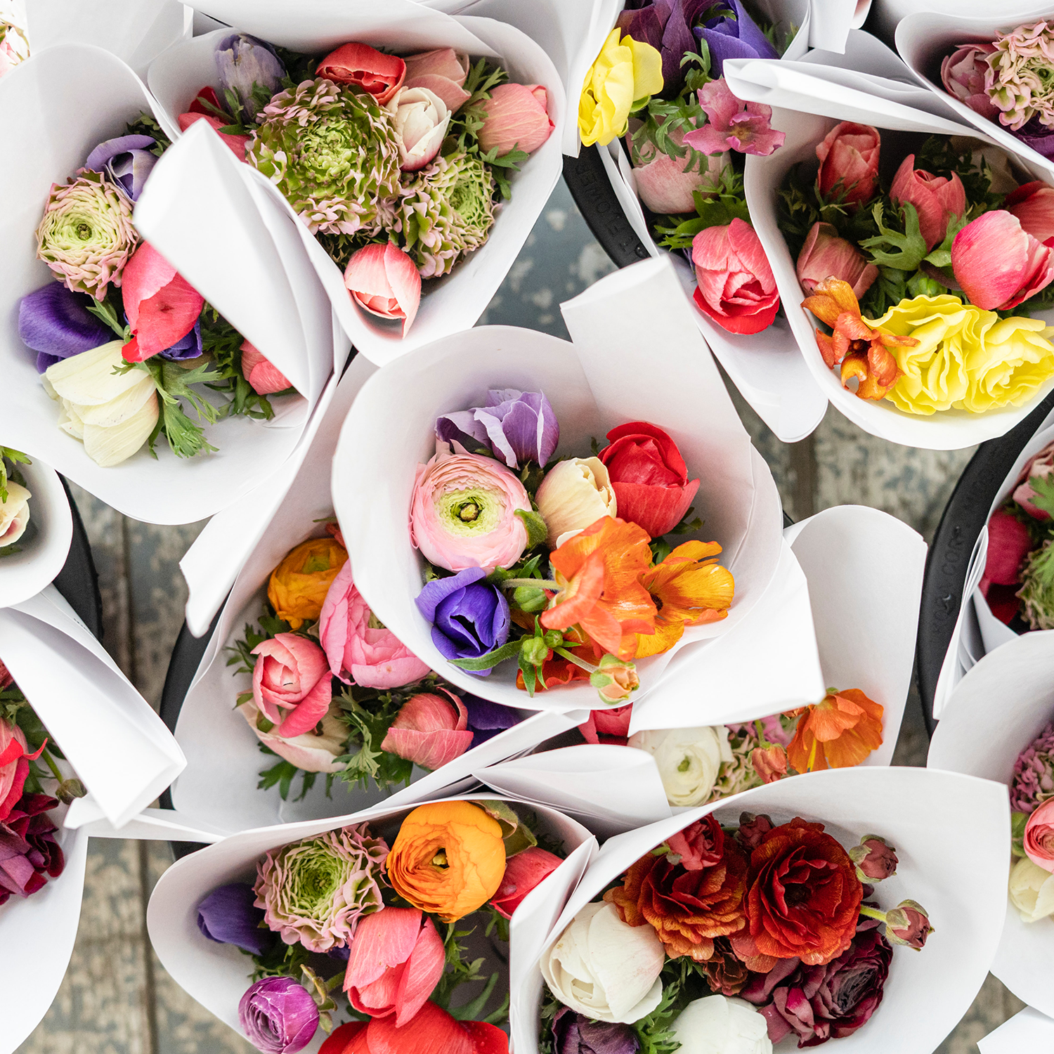 Sélection du Printemps