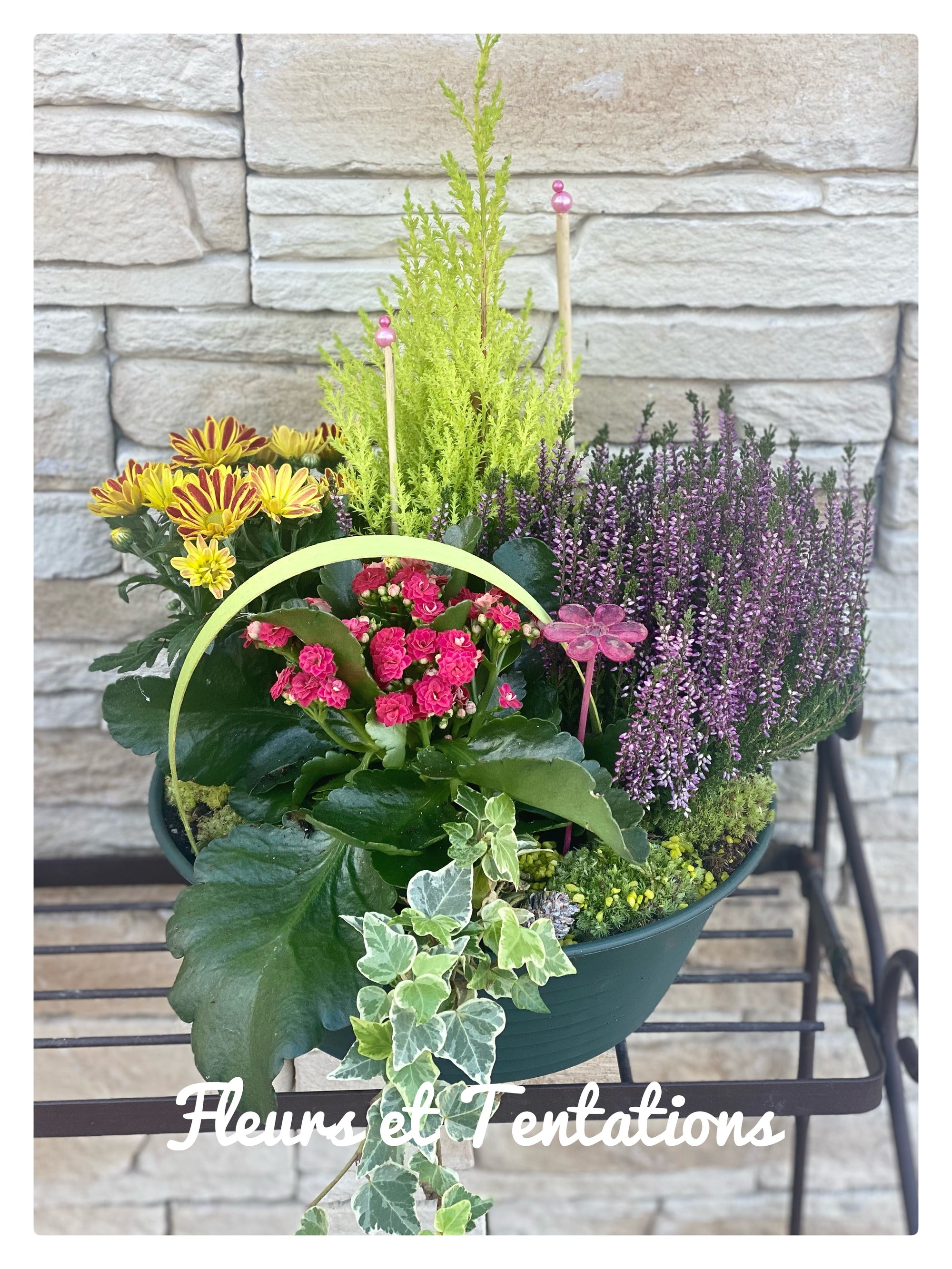 La coupe de plantes du fleuriste